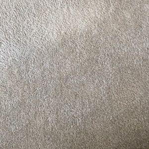 Meet your Posher, Isabella